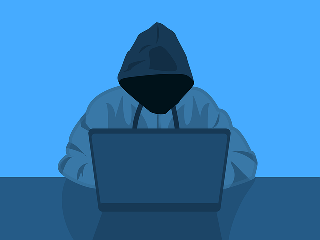 A person in a hoodie on a computer